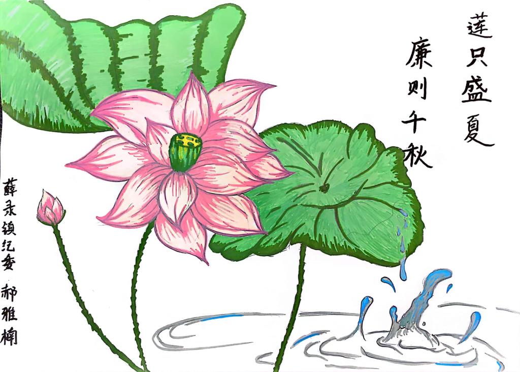 莲只盛夏廉千秋