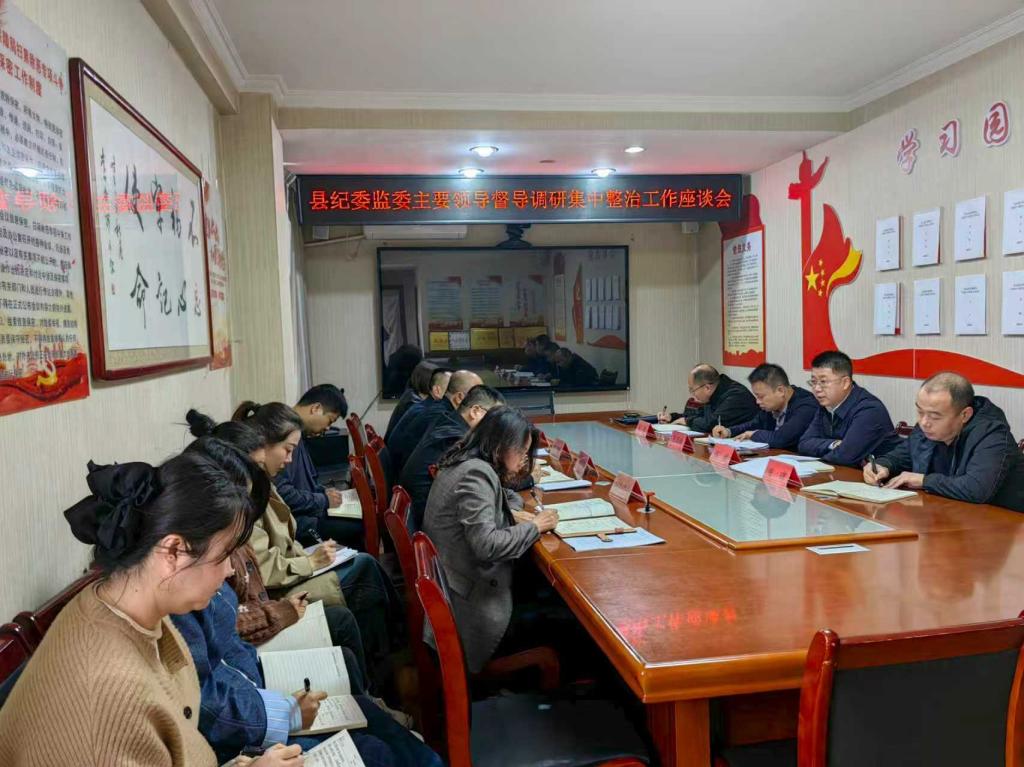 张斌到县医保局、县人社局调研集中整治工作